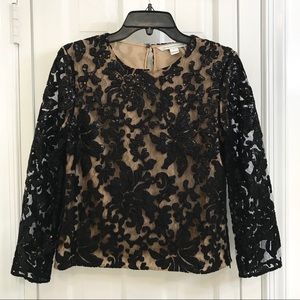 Diane von Furstenburg belle lace top (never worn)
